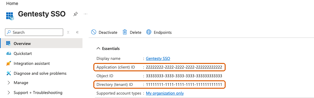 App overview with Application client ID and Directory tenant ID highlighted